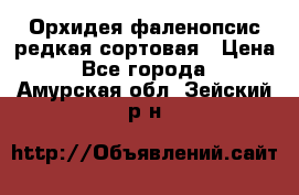 Орхидея фаленопсис редкая сортовая › Цена ­ 800 - Все города  »    . Амурская обл.,Зейский р-н